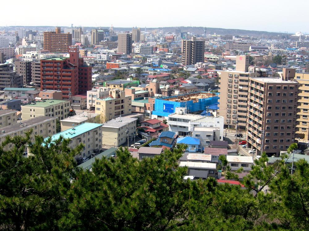akita